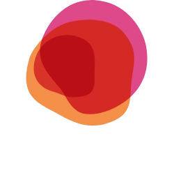BS Miracle ブラックシリカ